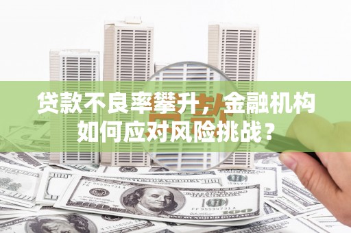 嘉兴贷款不良率攀升，金融机构如何应对风险挑战？