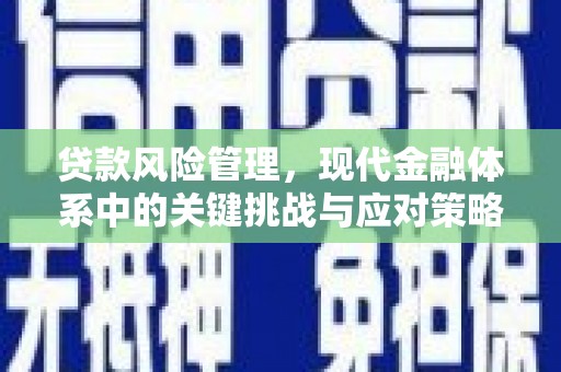 嘉兴贷款风险管理，现代金融体系中的关键挑战与应对策略