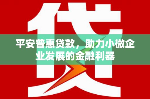 嘉兴平安普惠贷款，助力小微企业发展的金融利器