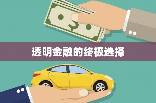 嘉兴透明金融的终极选择