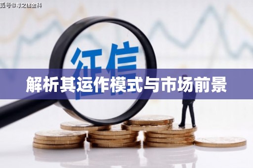 嘉兴解析其运作模式与市场前景