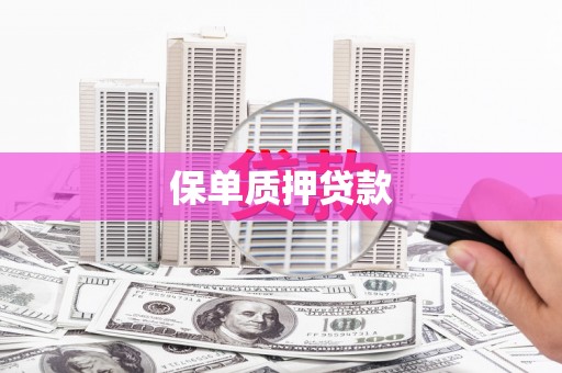 嘉兴保单质押贷款