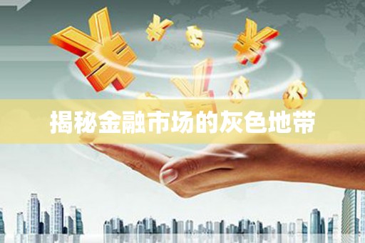 嘉兴揭秘金融市场的灰色地带