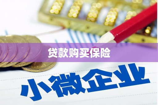 嘉兴贷款购买保险