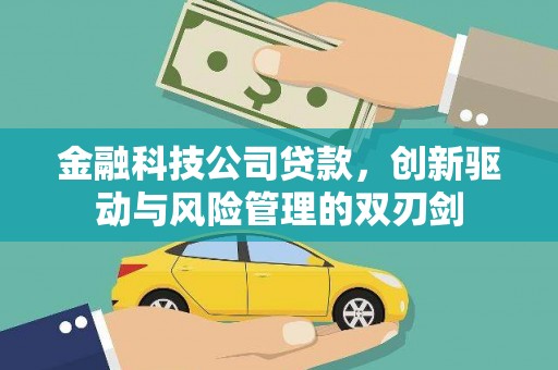 嘉兴金融科技公司贷款，创新驱动与风险管理的双刃剑